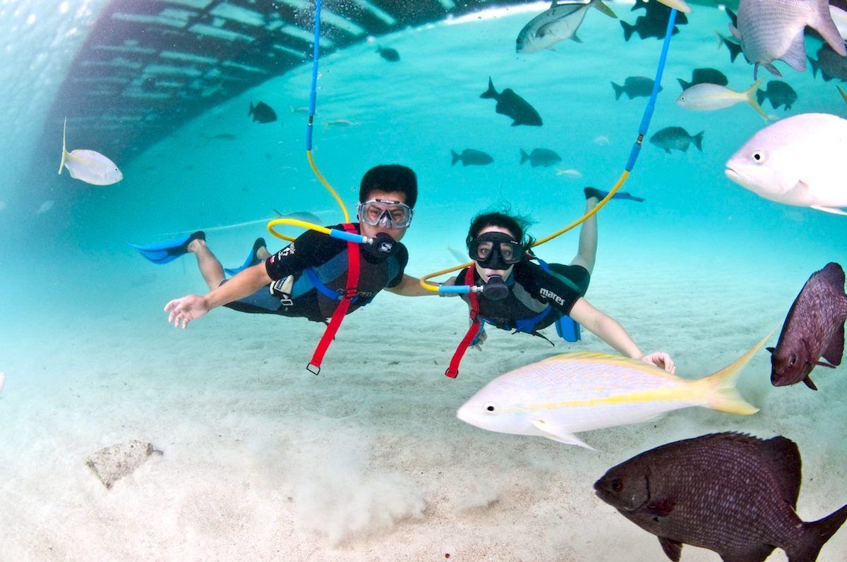 scuba diving certification