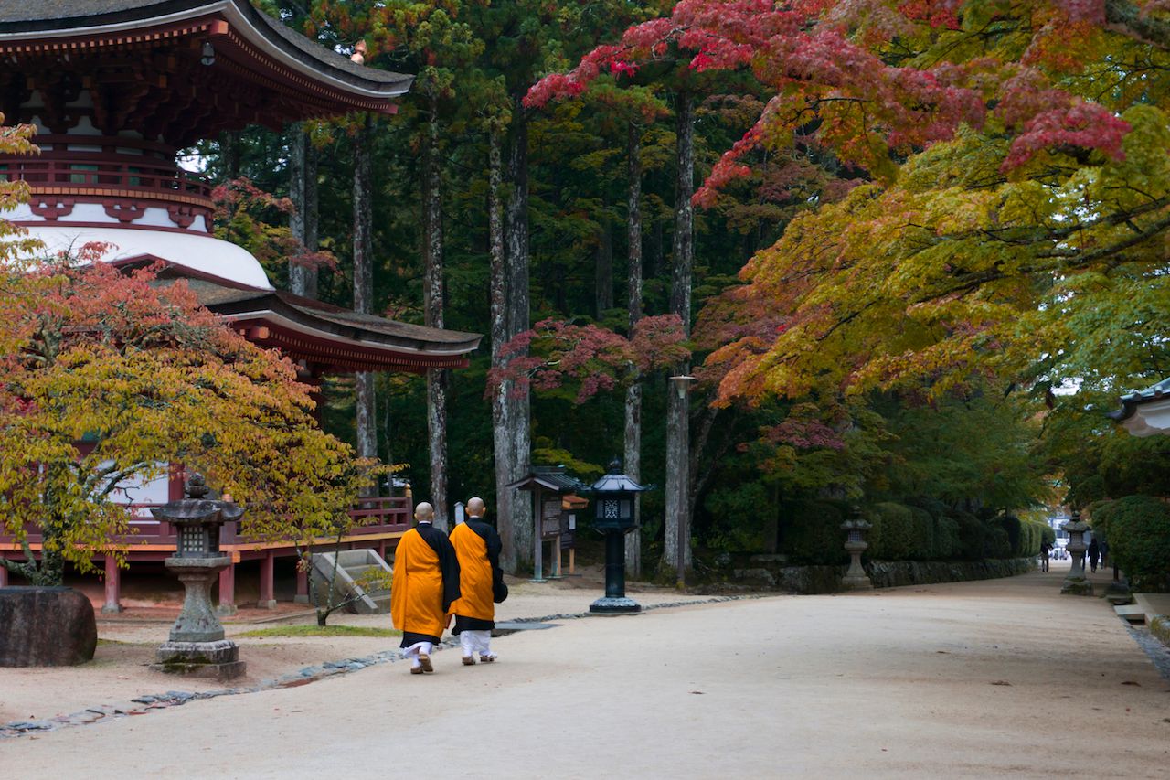 Temple Hotels