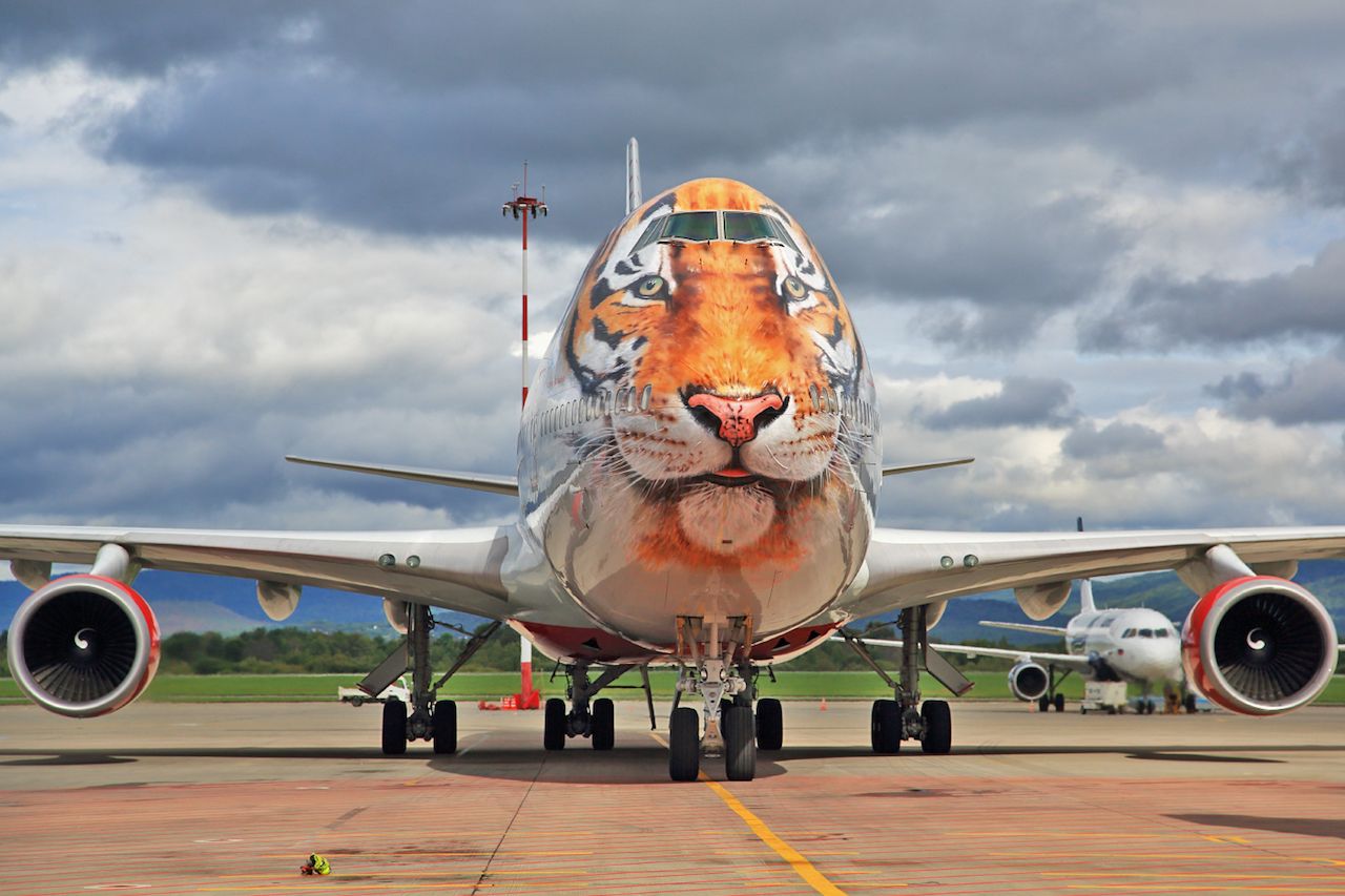 Rossiya airplane livery