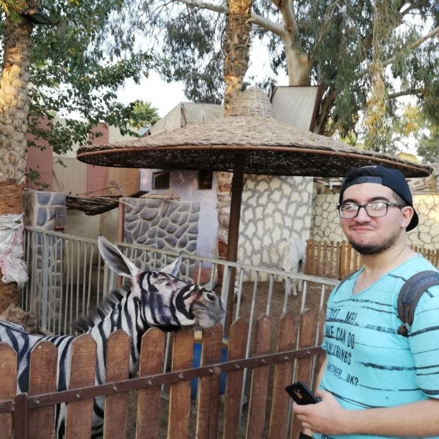 Mahmoud Sarhan with a donkey painted to look like a zebra