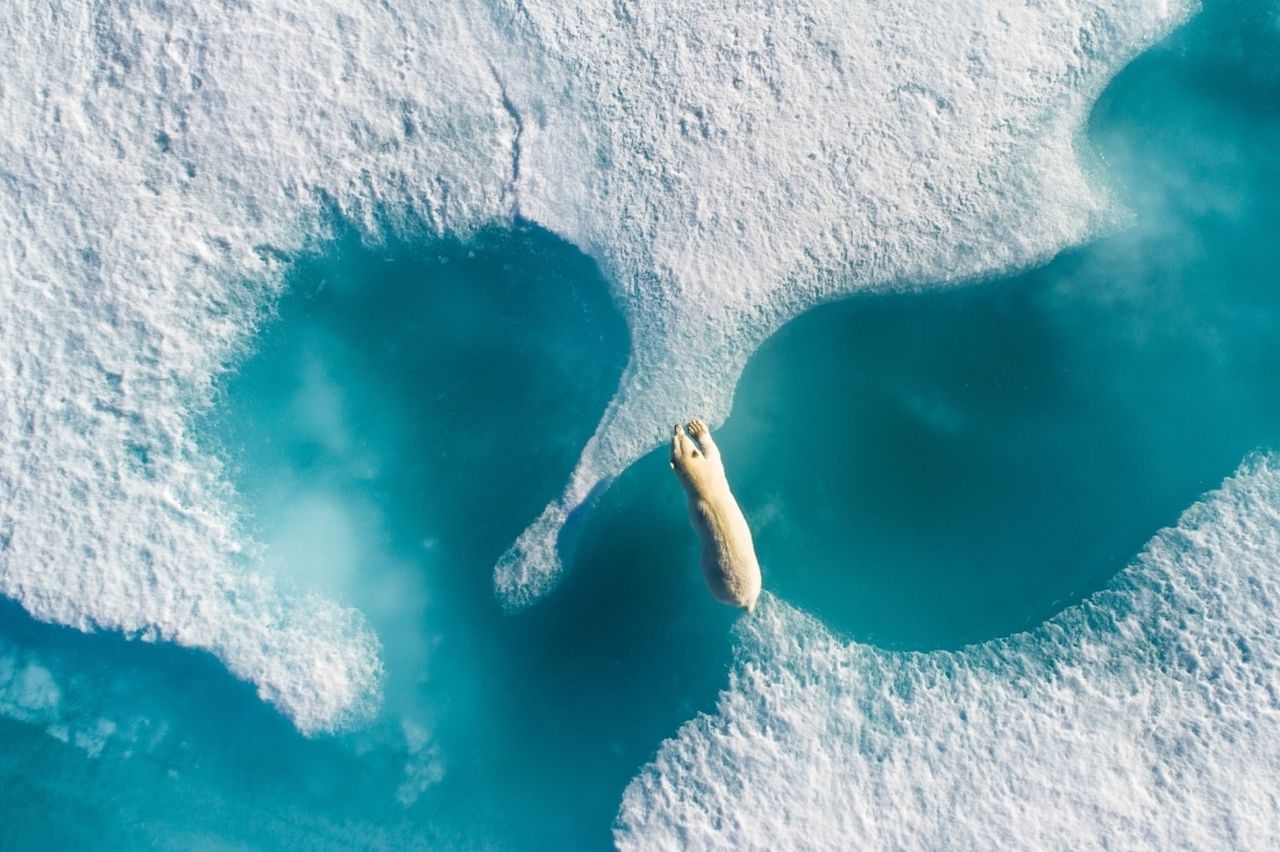 Photo of the year Drone Awards 2018