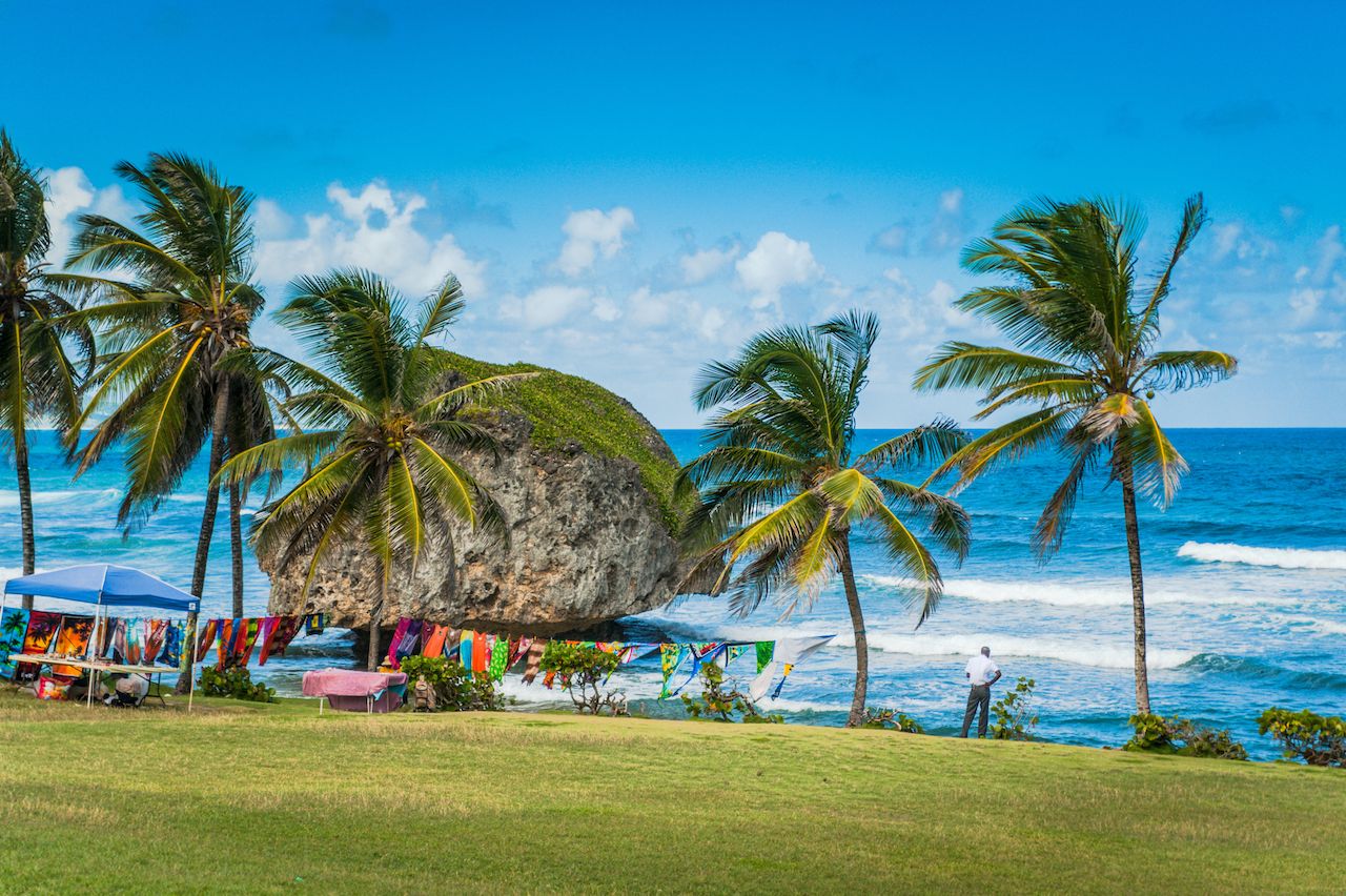 Barbados Shore Line in the Caribbean