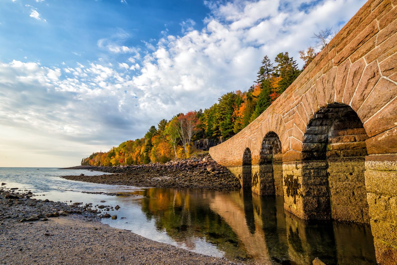 Peak Fall Foliage 2024 Acadia National Park Lorry Renelle