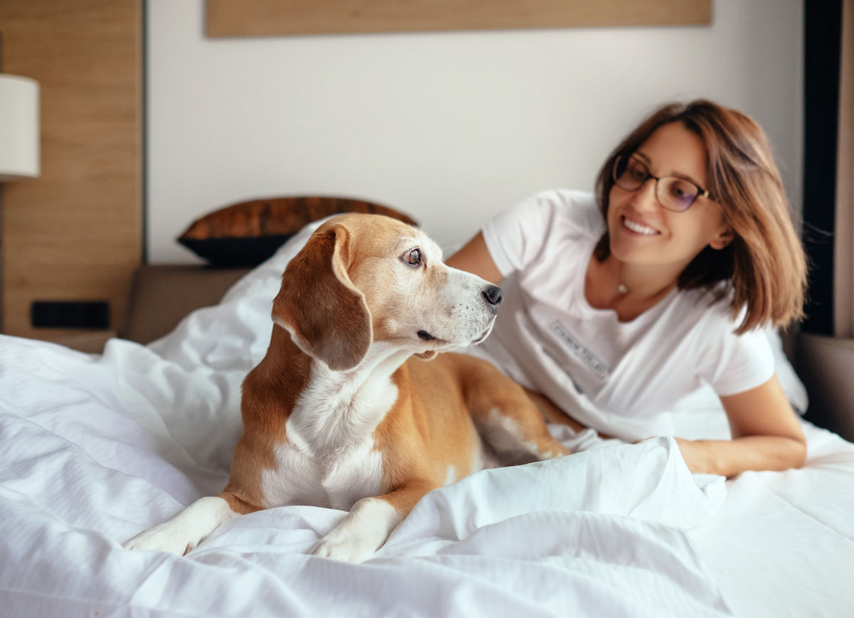 Most dog-friendly hotel chains in the United States