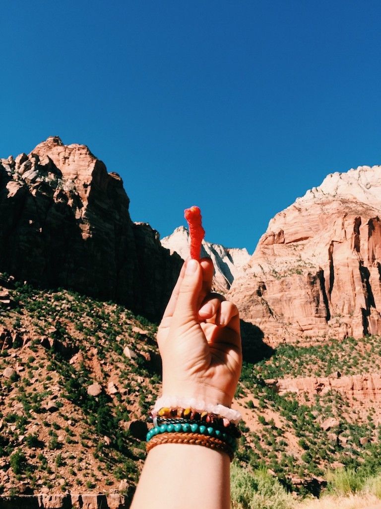 Zion National Park Hot Cheeto