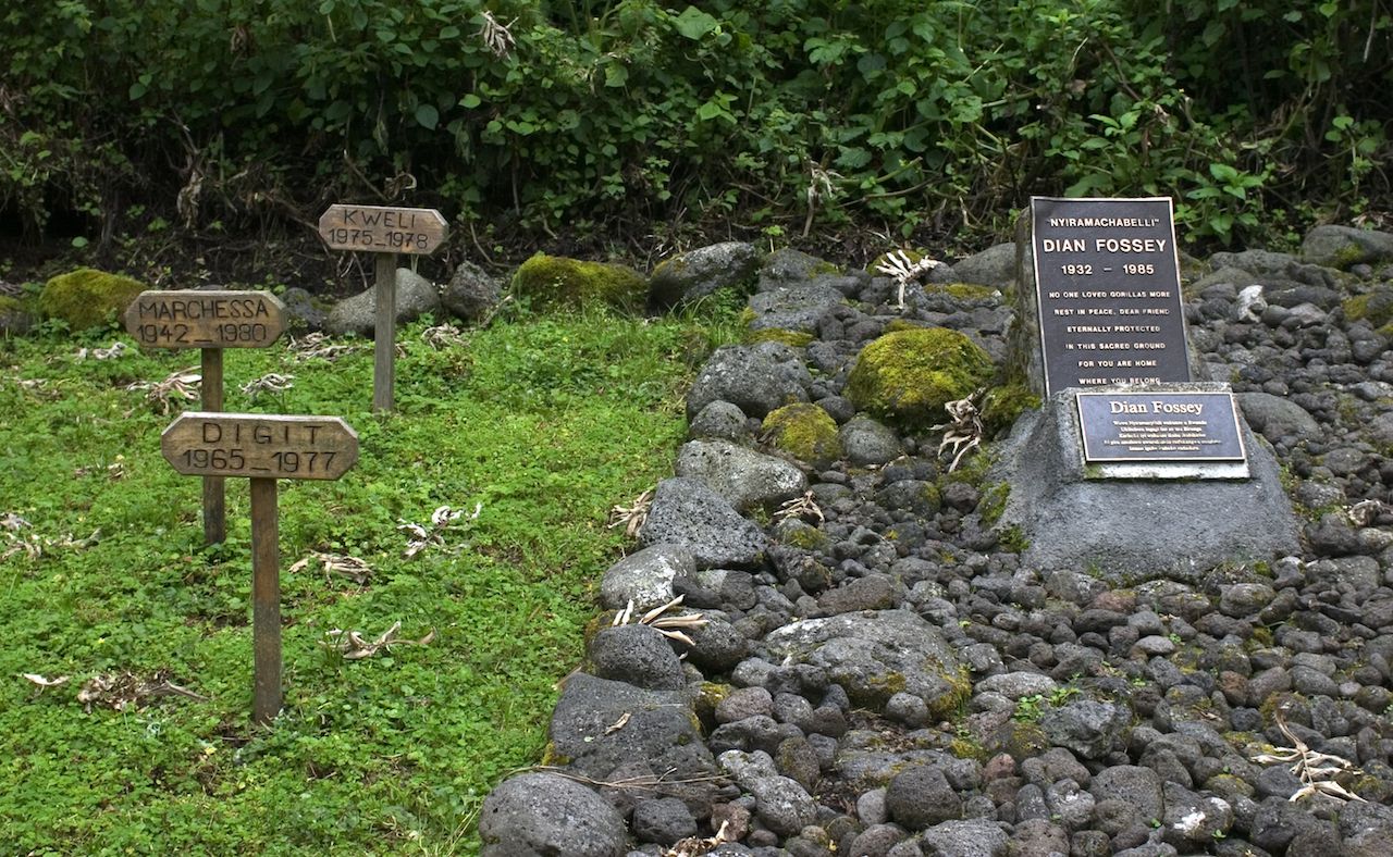 dian fossey's grave besides her most beloved gorilla
