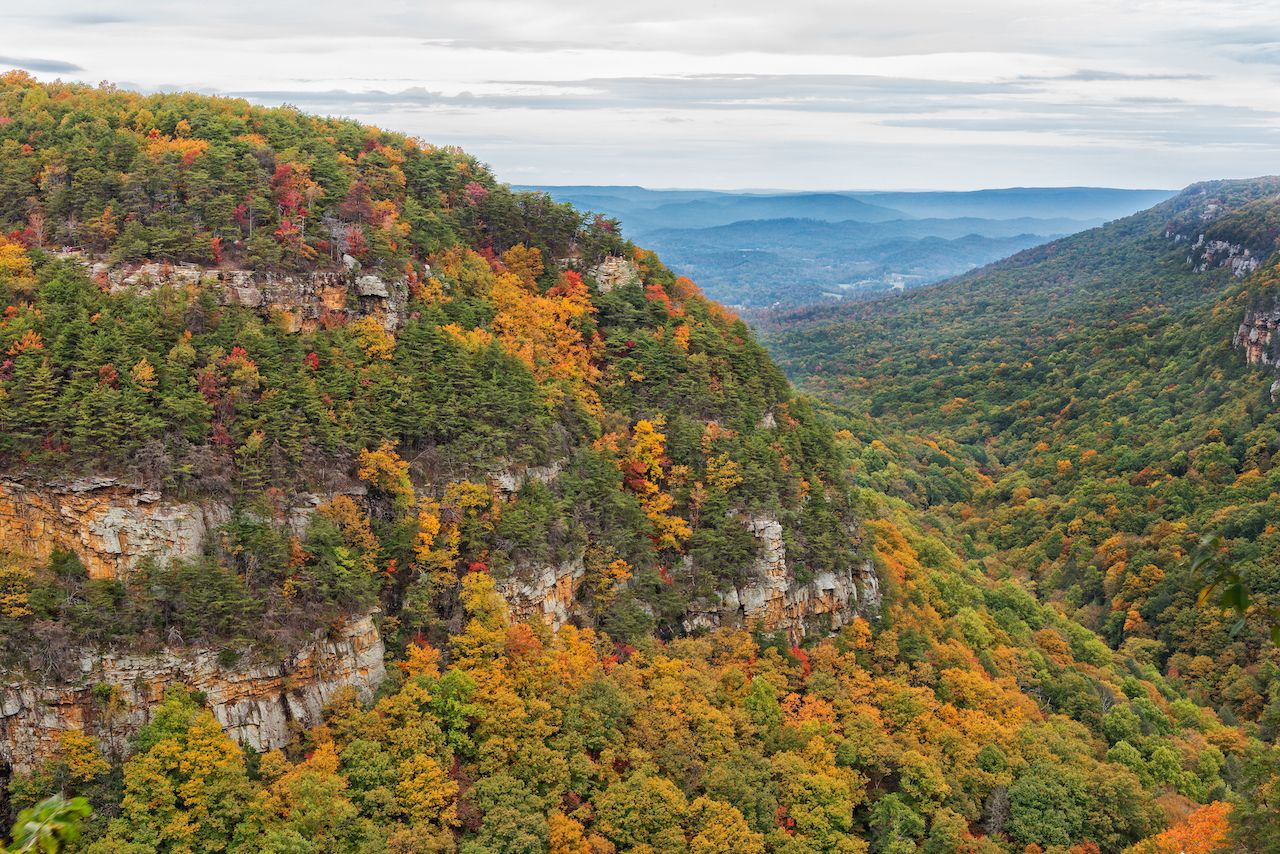 Cloudland Canyon State Park Overlook View During Autumn in Georgia