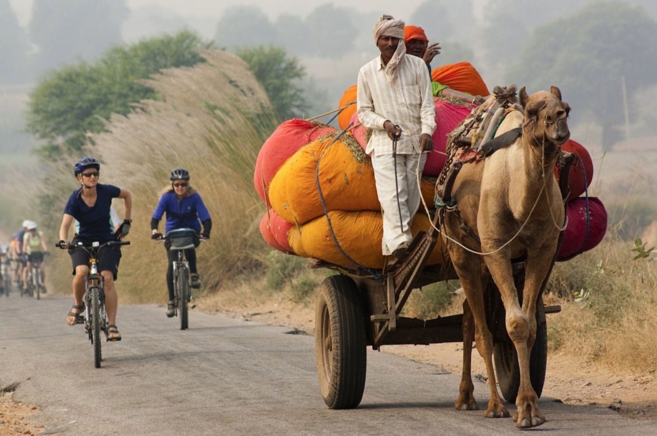 Cyclists behind a camel-drawn cart in Rajasthan India