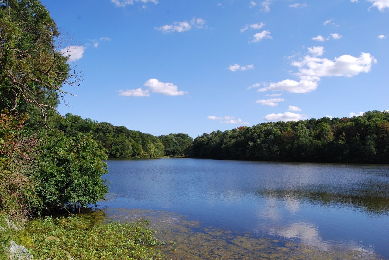 Greenbelt Park Lake in Maryland near Washington DC
