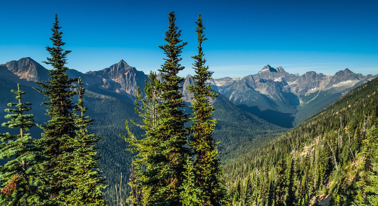 North Cascades from the PCT