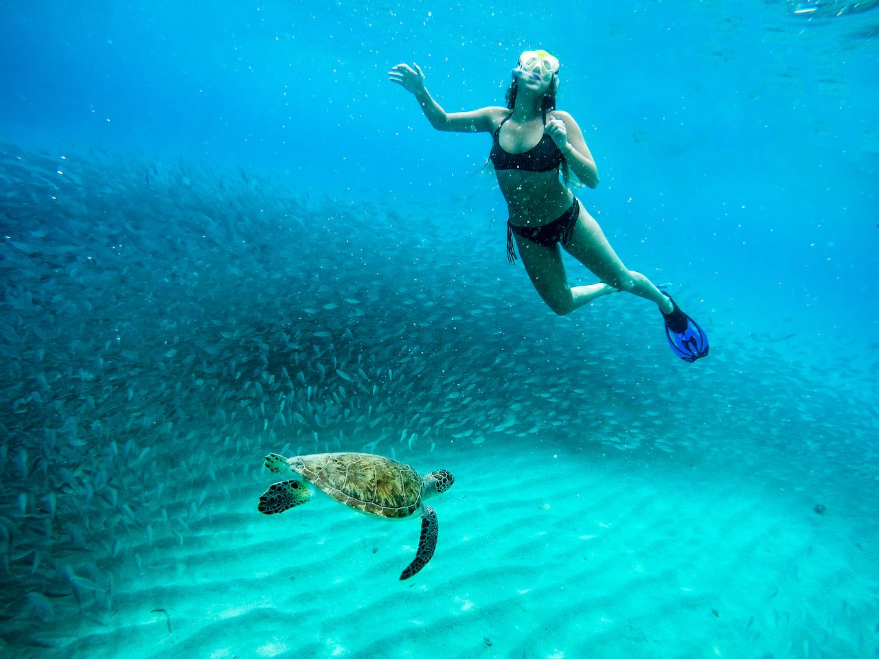 Swimming with turtles and fish in Westpunt, Curacao