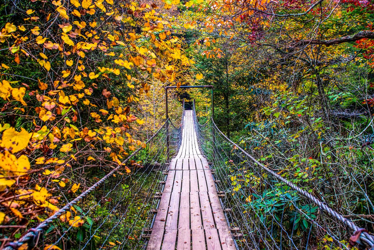 Wood bridge surrounded by fall foliage in Fall Creek Falls State Park, Pikeville, Tennessee
