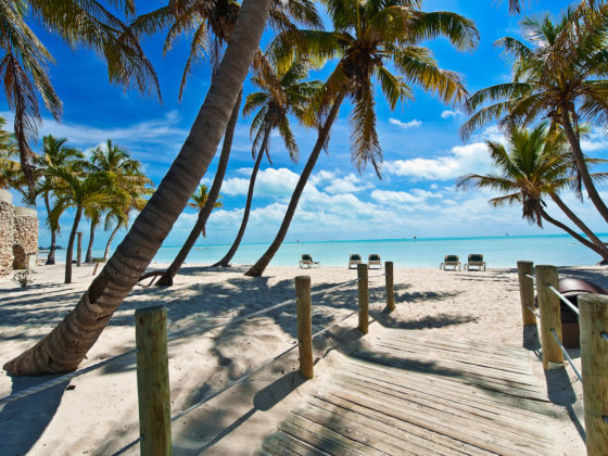 Best Things To Do In The Florida Keys And Key West