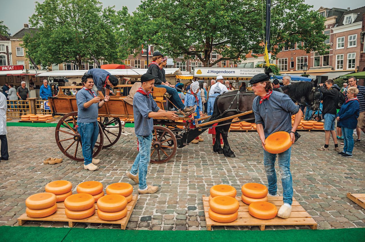 Young people carrying cart with cheese at the end of Market Square fair in Gouda, Netherlands