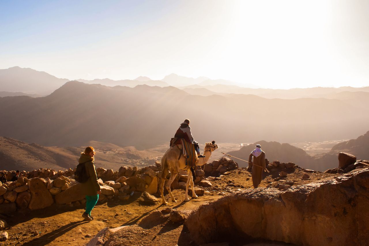 Cavaliers à dos de chameau remontant la montagne du Sinaï en Egypte 