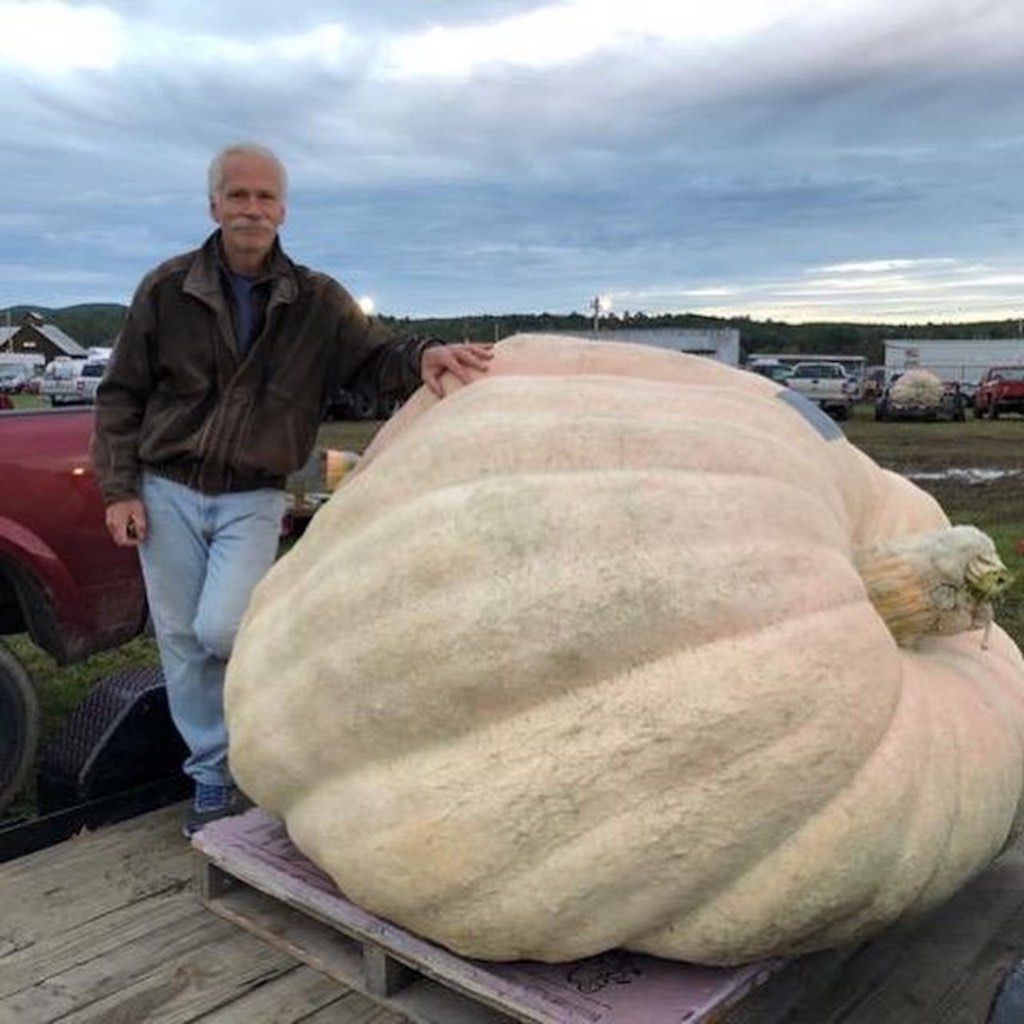 Steve Geddeswith largest pumpkin, Deerfield Fair in New Hampshire