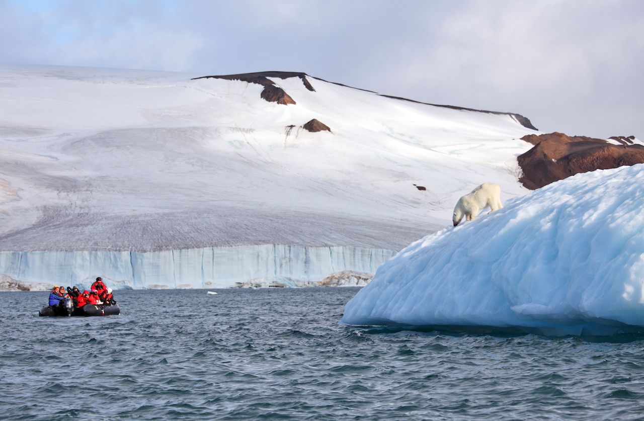 Zodiac boat watching polar bear on iceberg in Franz Josef Island, Russia