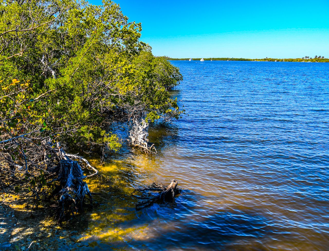 A view of Peck Lake in Hobe Sound, Florida