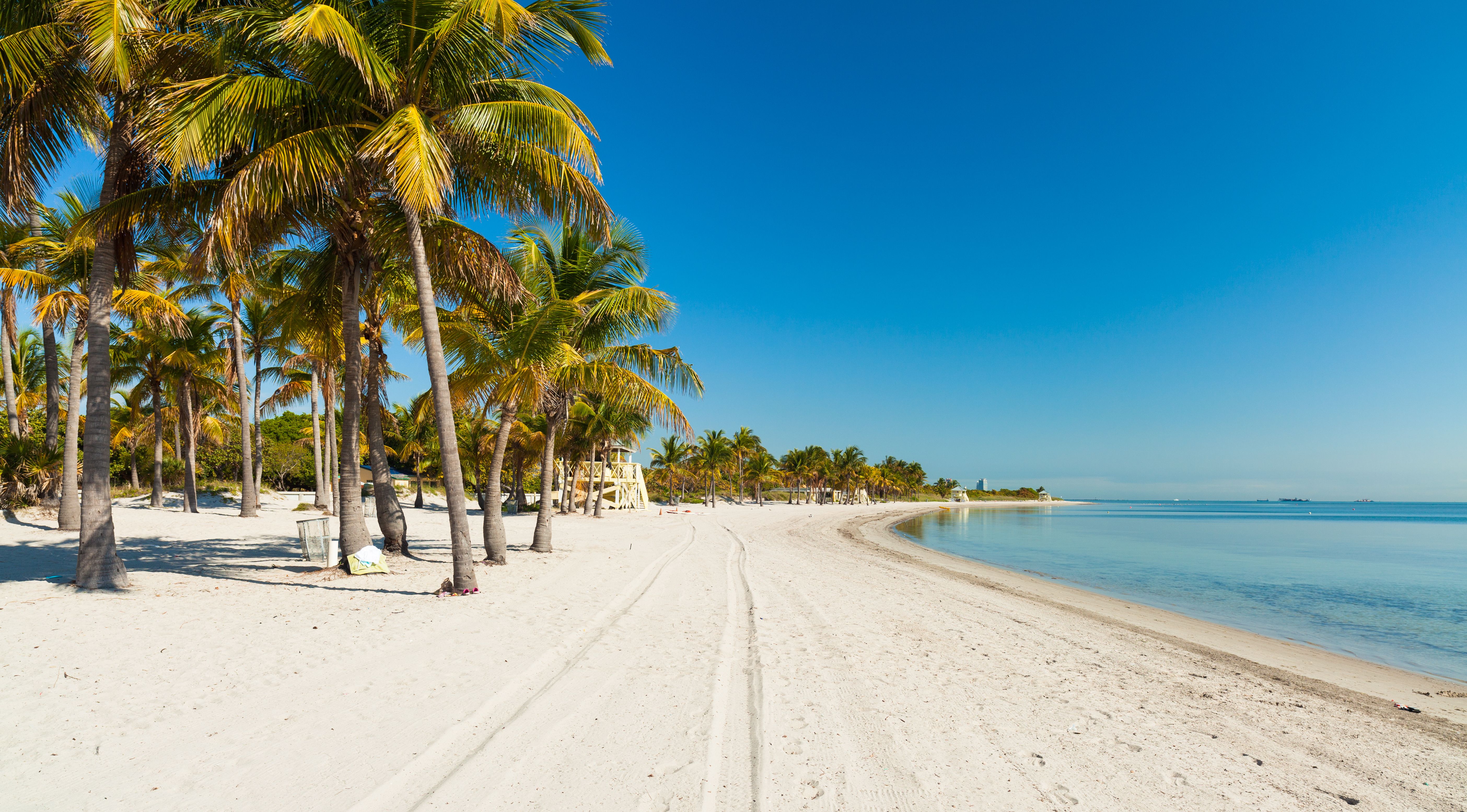 Crandon Park Beach located in Key Biscayne in Miami, Florida