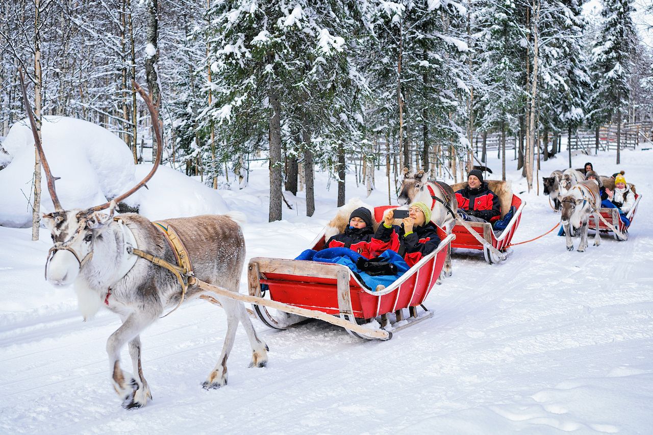 People in Reindeer sledge caravan safari in winter forest in Rovaniemi, Lapland, Finland