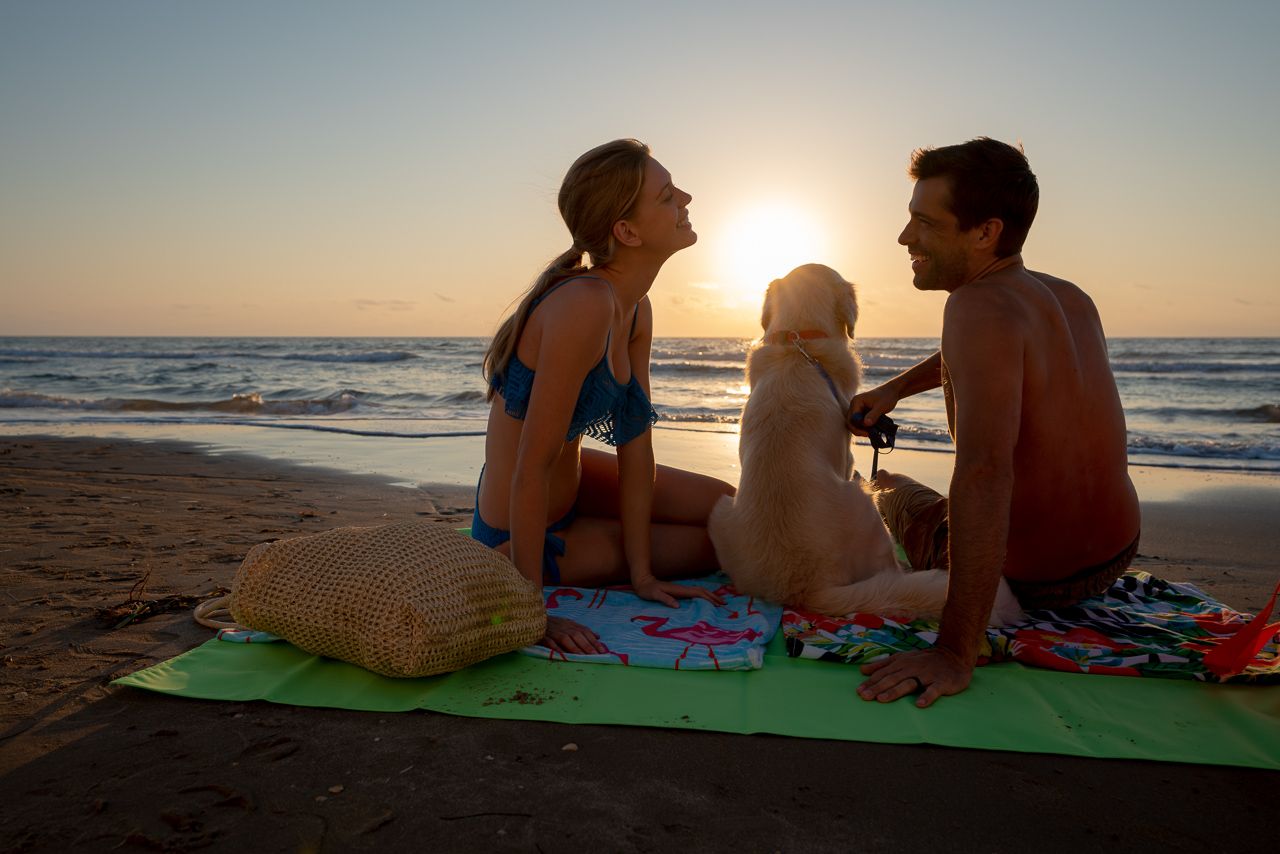 South Padre Island beach couple pets dog