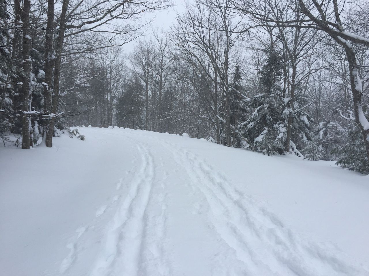Snow-covered path and cross-country tracks