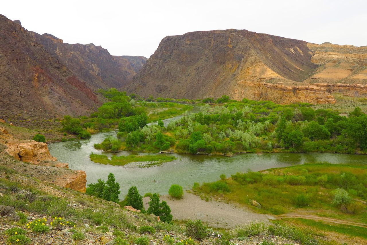 The river in the Charyn Canyon in Central Asia