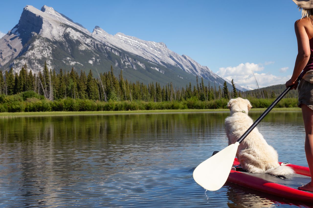 Woman on a paddle board with her dog in Banff, Canada
