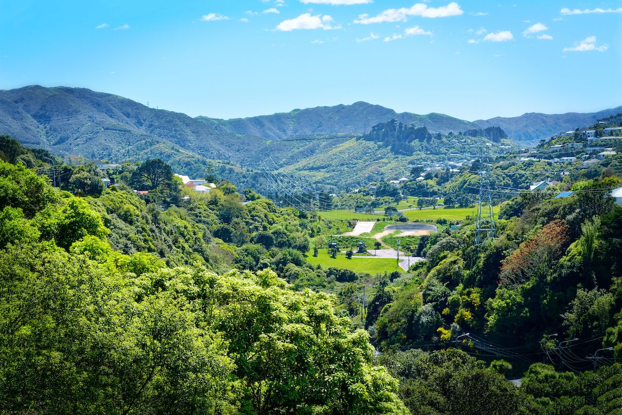 Cosy valley between green mountains in suburbuan Wellington, New Zealand