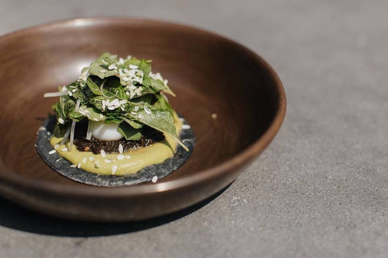 Beautifully plated Mexican food from an upscale restaurant in Mexico City