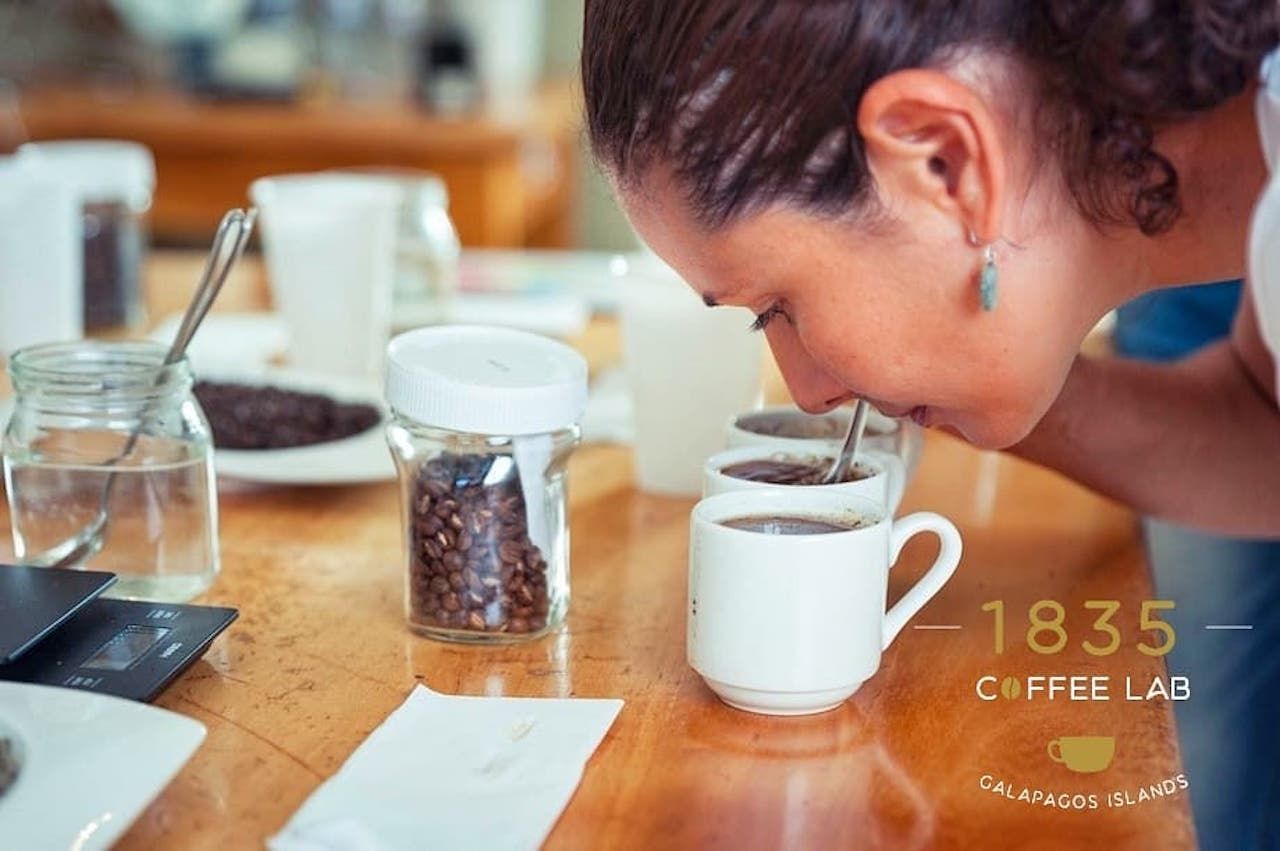 woman smelling cups of coffee with coffee beans on the table