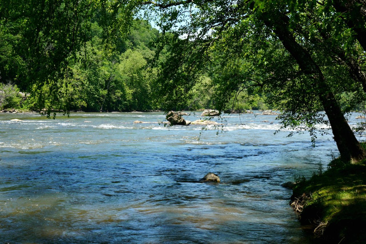 Banks of the French Broad River near Asheville North Carolina