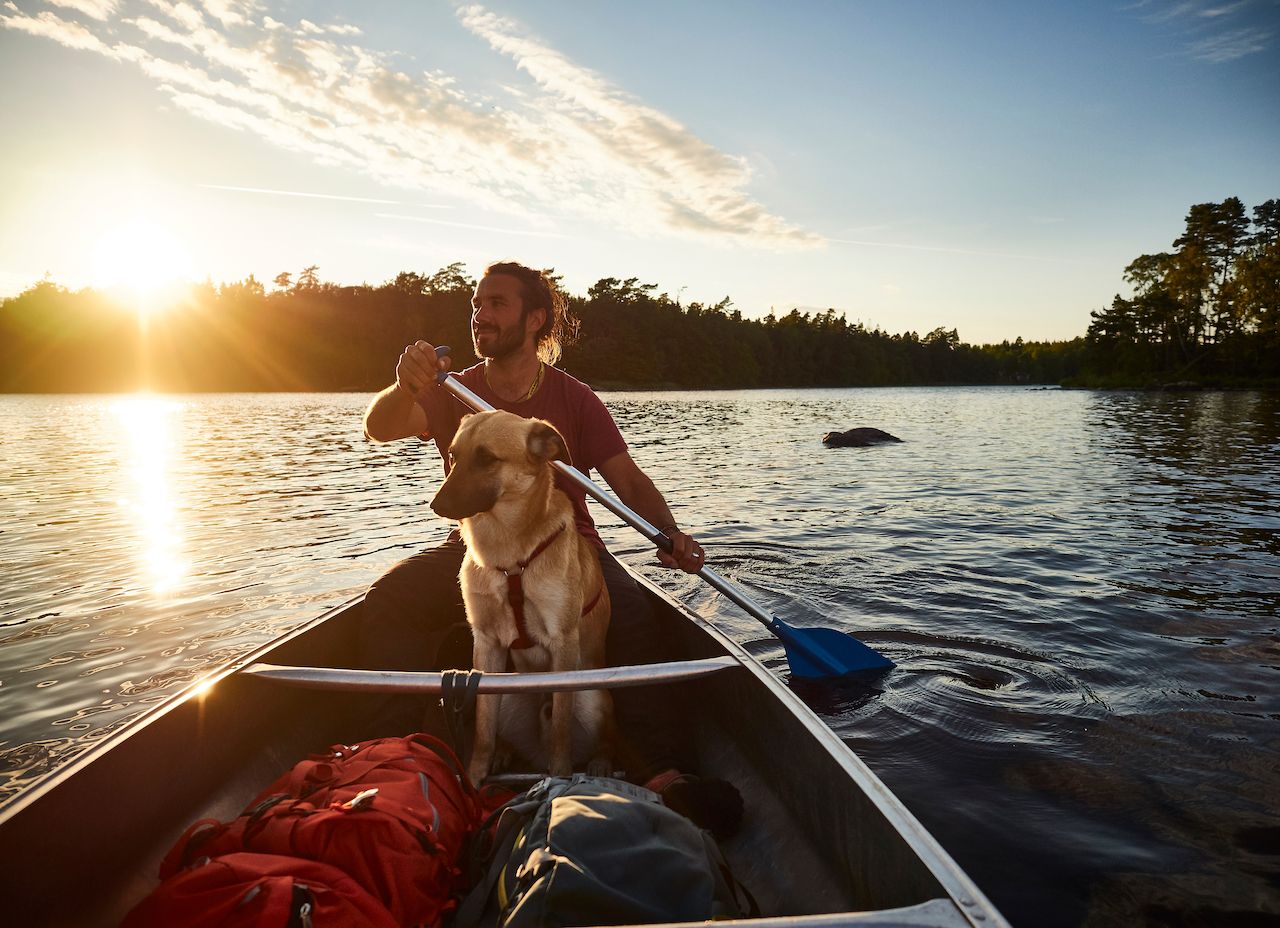 Canoe tour with a dog and a man in sweden