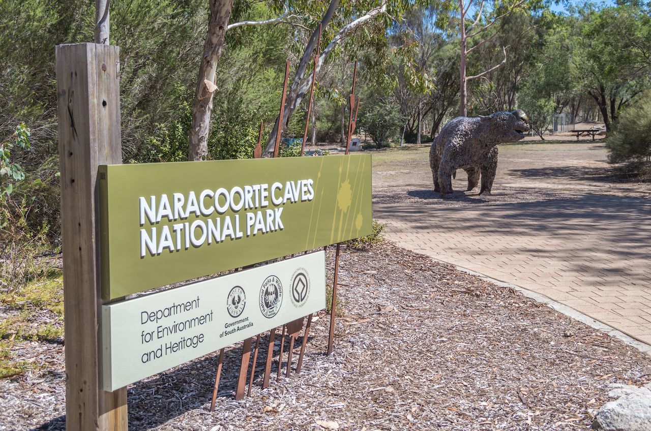 Naracoorte Caves National Park, South Australia