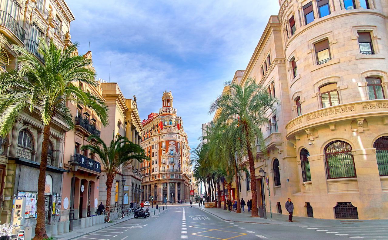 Palm Trees lining a street in Valencia, Spain