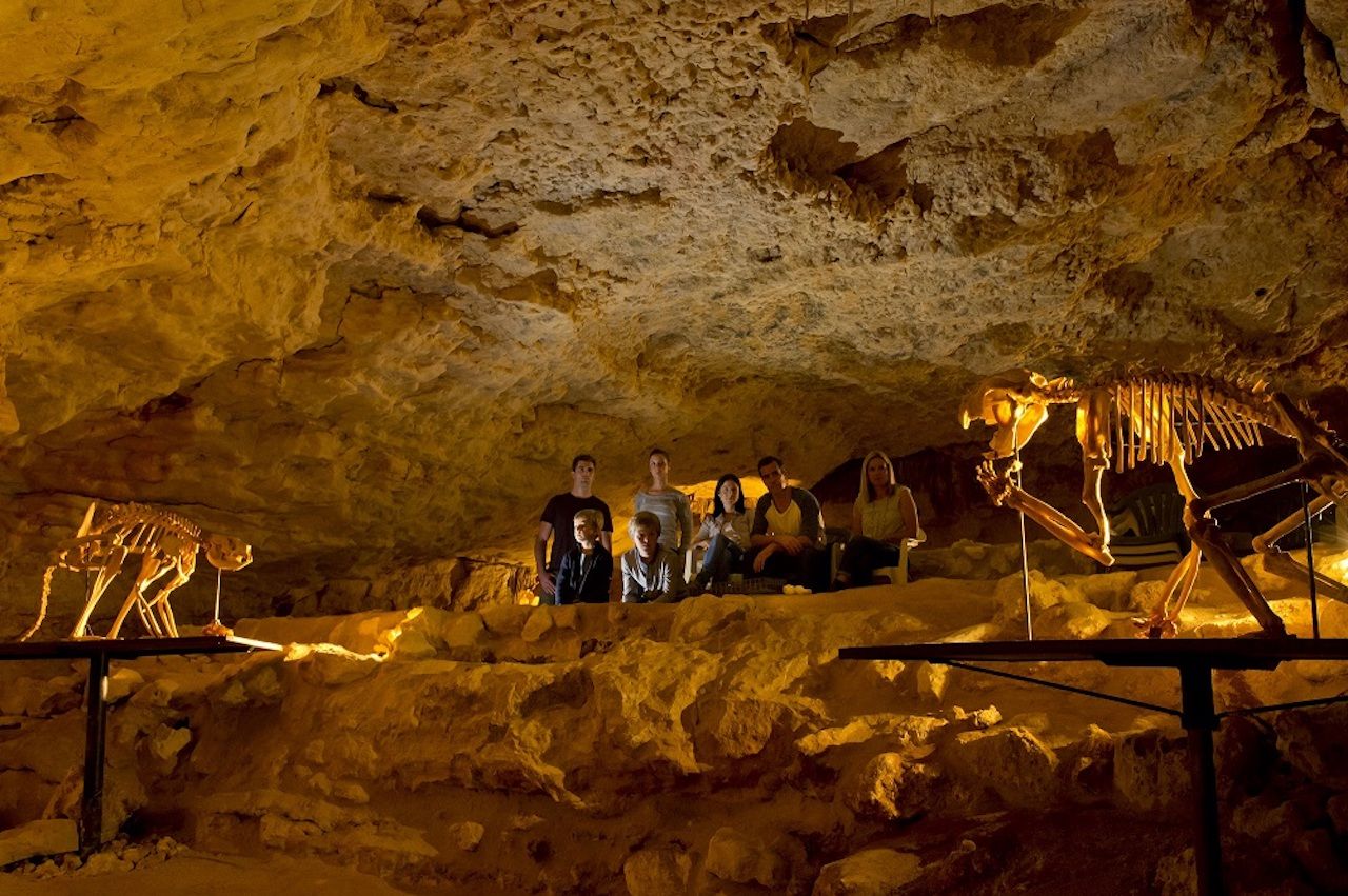 Naracoorte Caves National Park