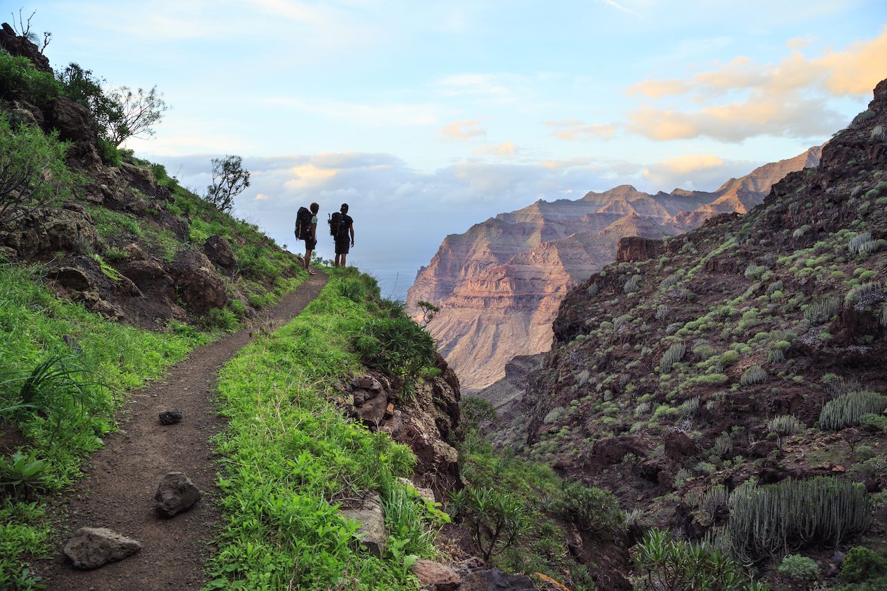 What to do in the Canary Islands What to do in the Canary Islands