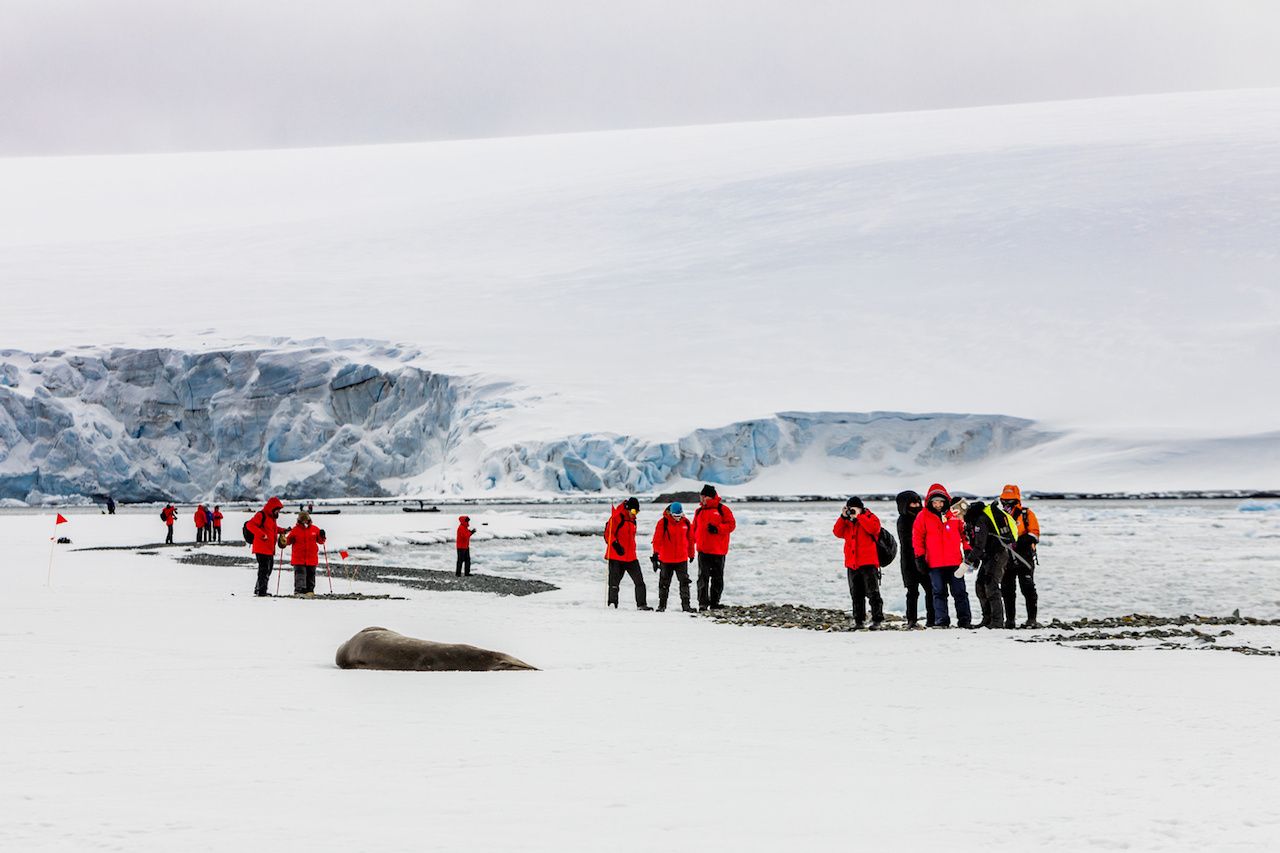 group of tourists wearing red jackets against white snow in Antarctica