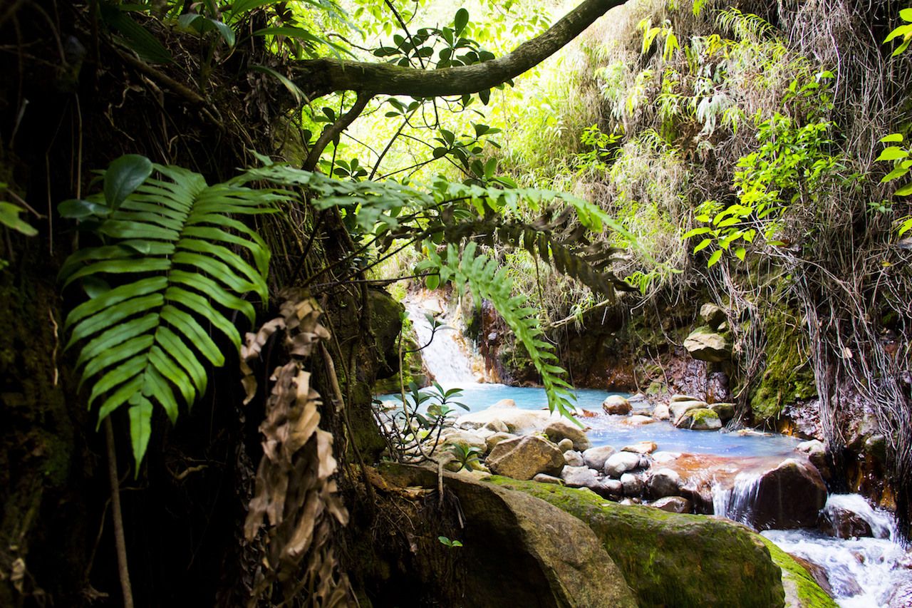 A natural hot pool in Dominica