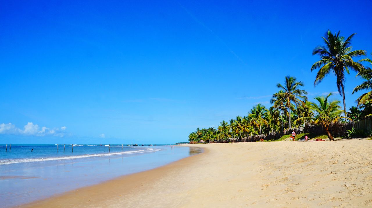 Beautiful Trancoso beach with palm trees, near Seguro Port in Bahia state, Brazil