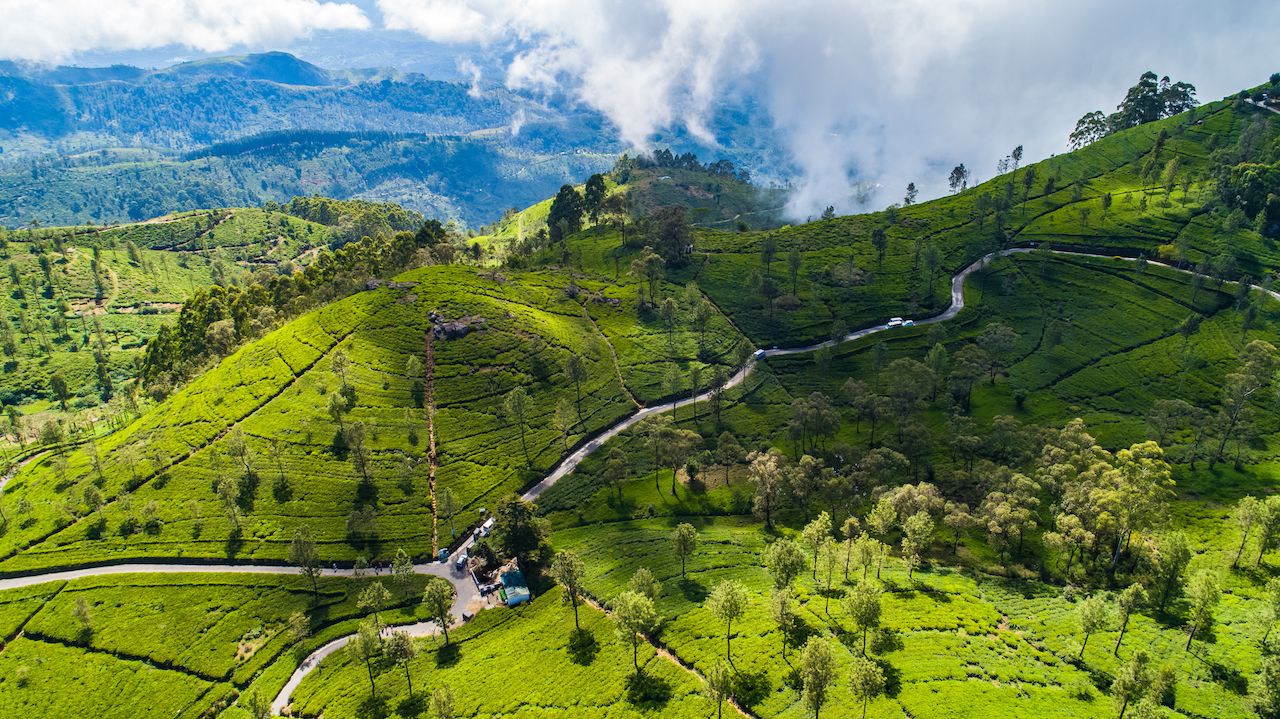 Famous green tea plantation landscape view from Lipton's Seat, Haputale, Sri Lanka