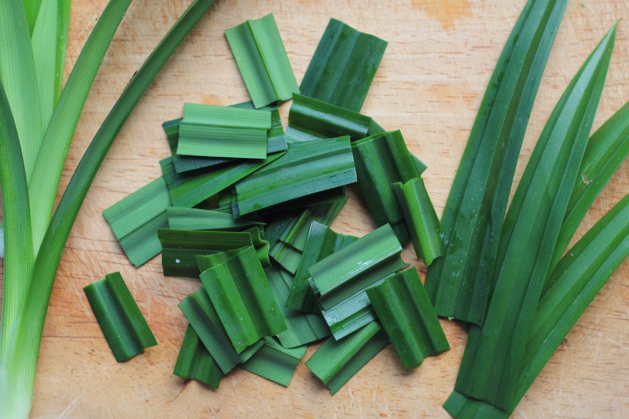 Pandan leaves used in Southeast Asian cooking