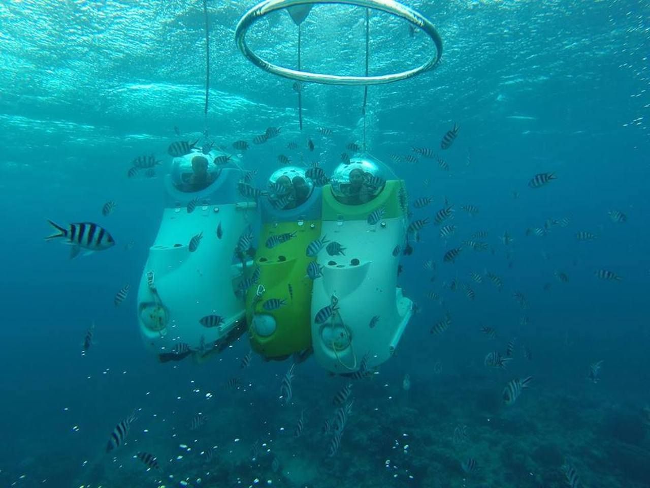 People underwater in Mauritius