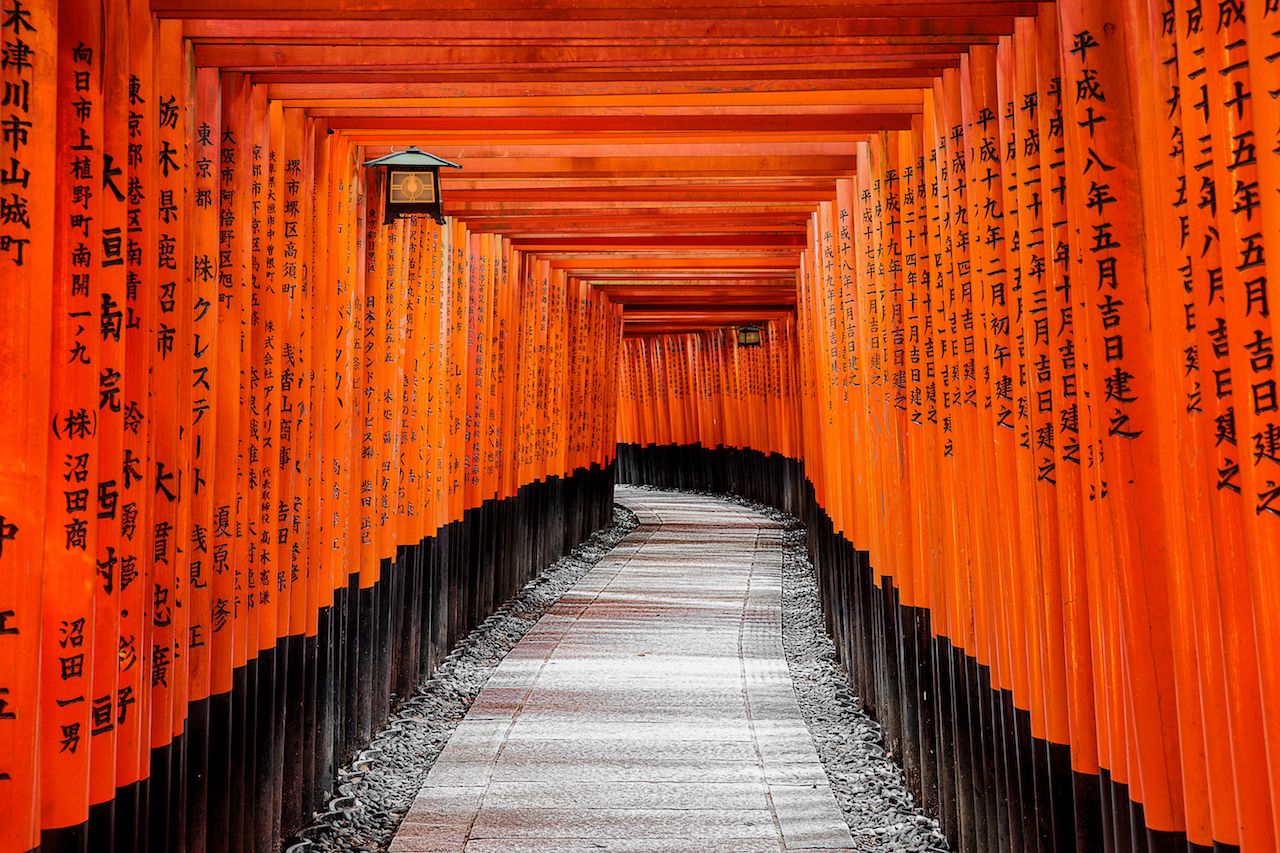 Puertas Torii rojas en el santuario Fushimi Inari en Kioto, Japón