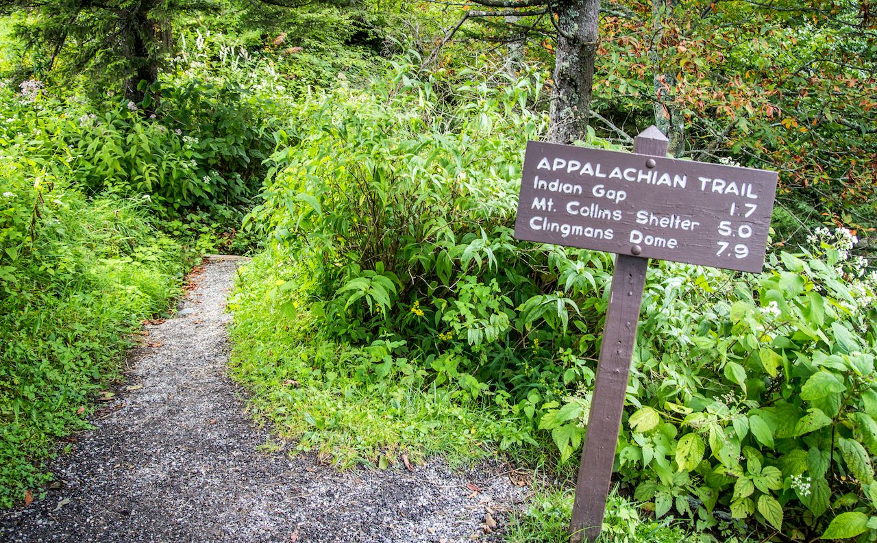 The Appalachian trail as it approaches Clingmans Dome