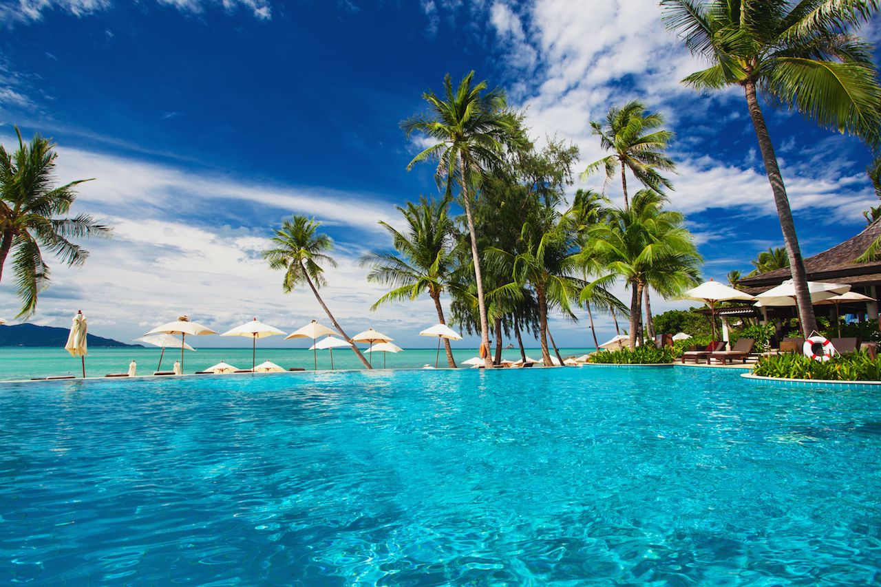 Large infinity swimming pool on the beach with palm trees