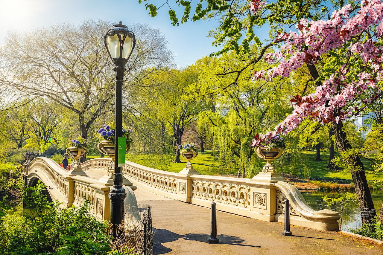 Bow bridge in Central park at spring sunny day, New York City