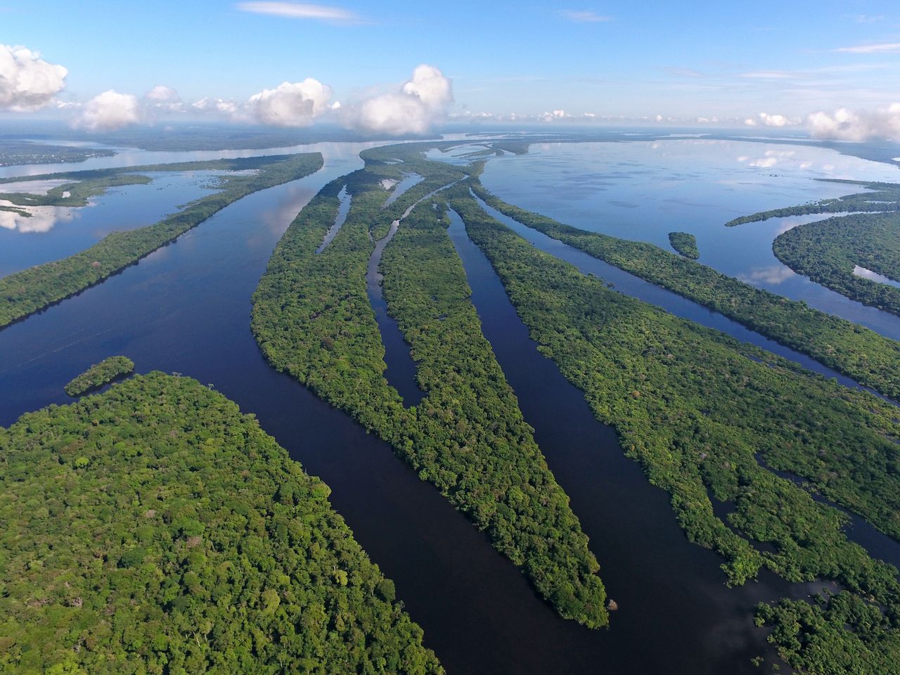 Anavilhanas Archipelago, amazonia forest flooded in Negro River,