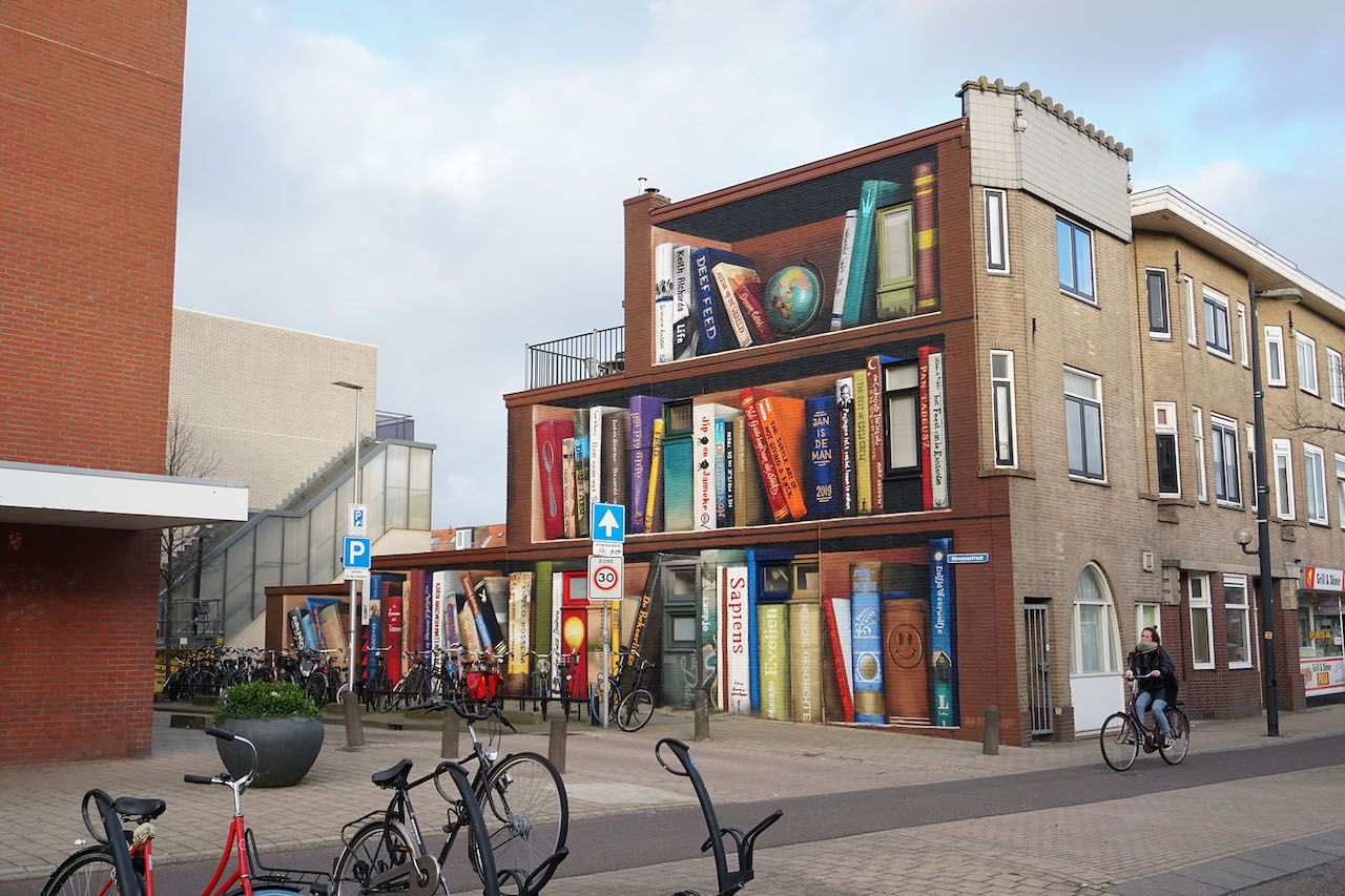 Bookcase mural