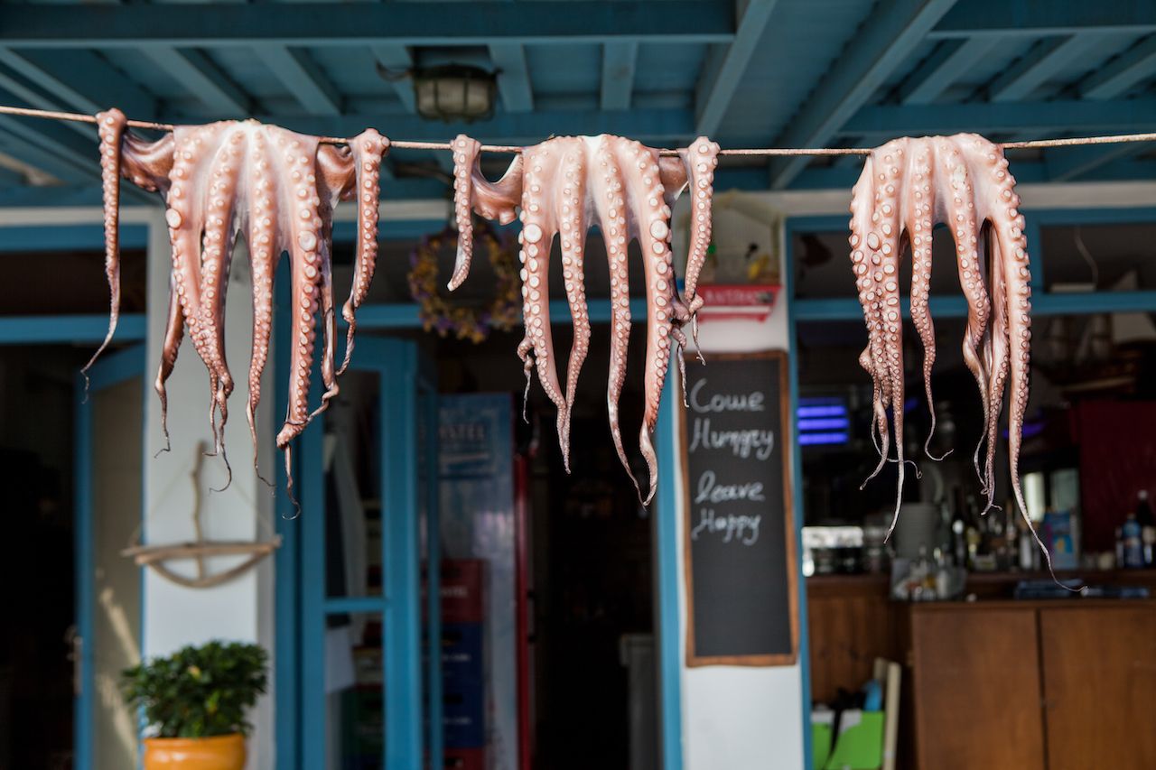 Hanging octopuses